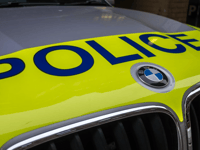 Appeal after pony dies in lane collision