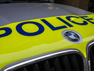 Appeal after pony dies in lane collision