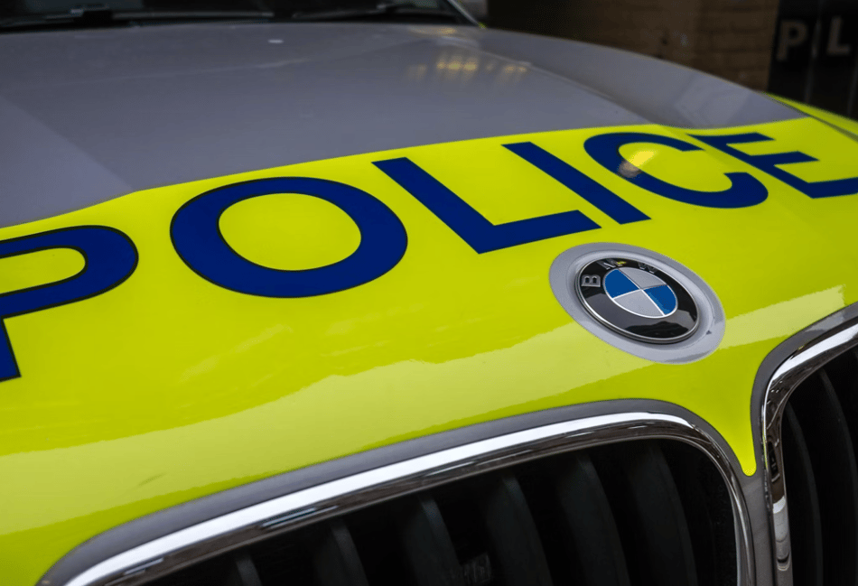 Appeal after pony dies in lane collision