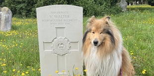 Grave of First World War soldier on cemetery tour