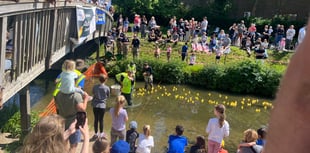 Organisers get ducks in a row for quacking event