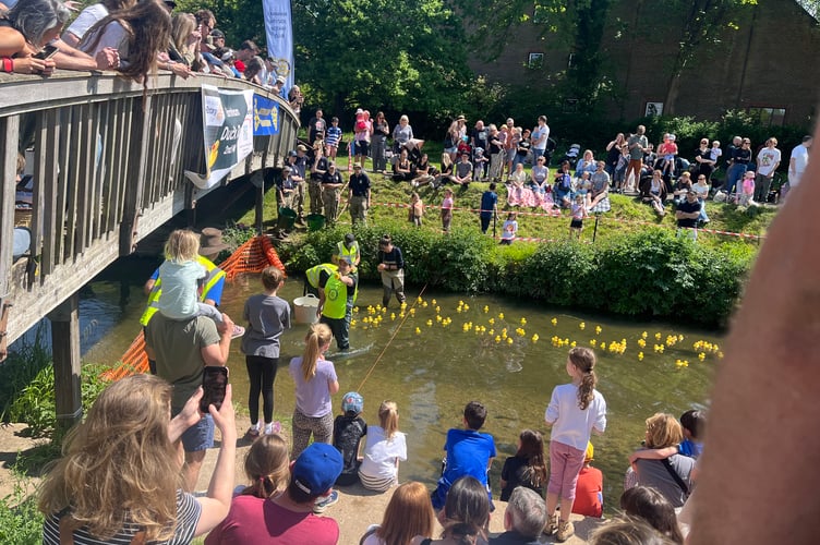A scene from Farnham Duck Race 2026.