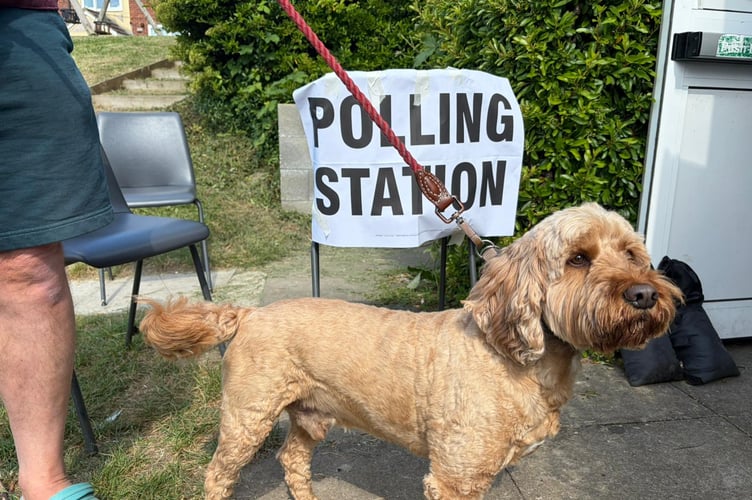 Hudson the dog votes in Farnham.