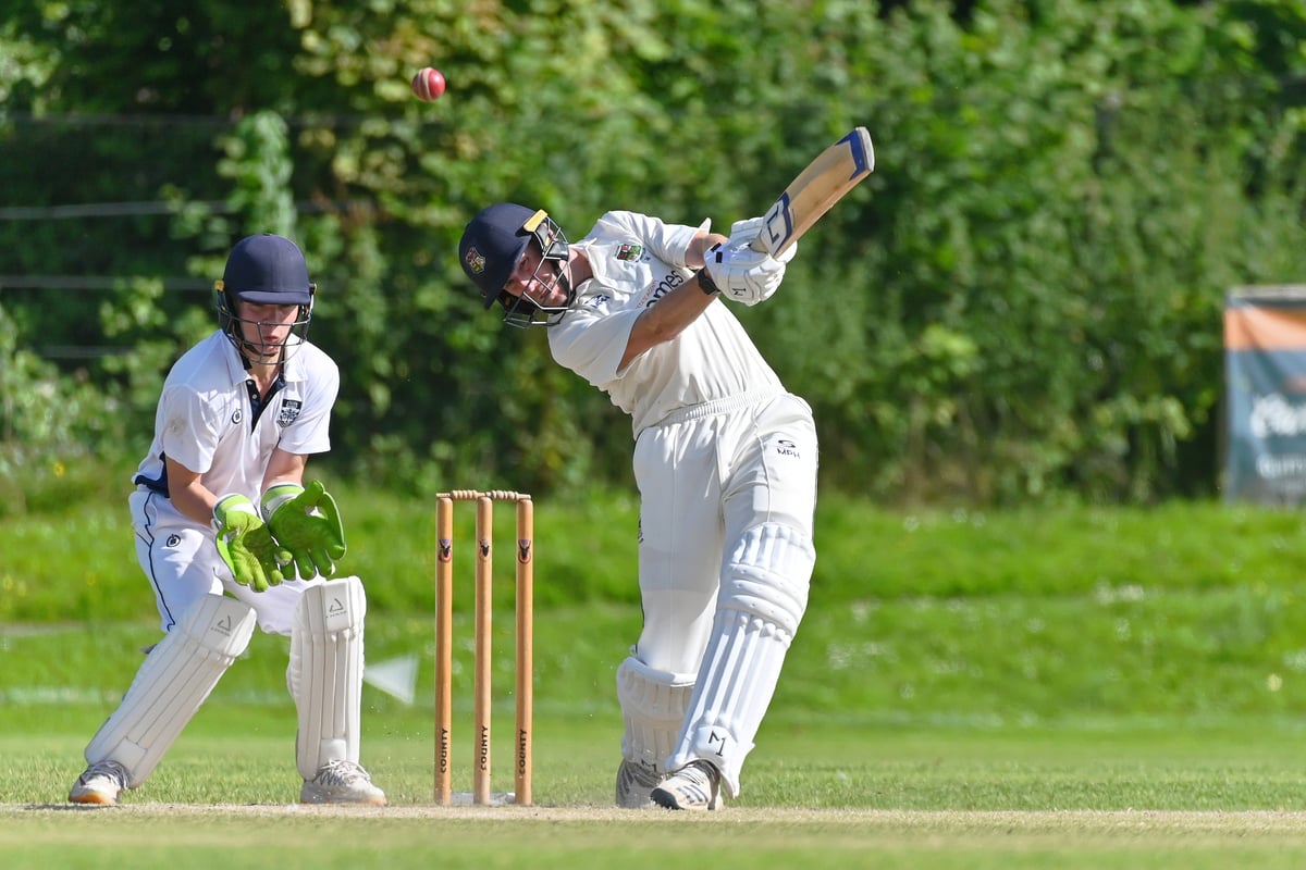 Alton's second team earn emphatic eight-wicket win against Ferndown Wayfarers