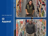 Surrey Police search for Farnham theft suspects
