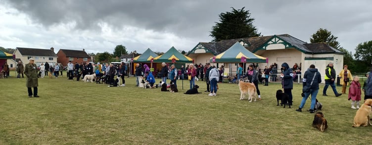 Judging taking place for one of the classes in Watchet's dog show on Sunday.