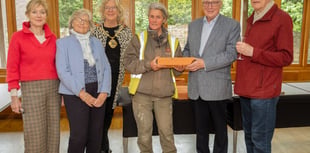 Another brick in the wall for Farnham Museum restoration campaign