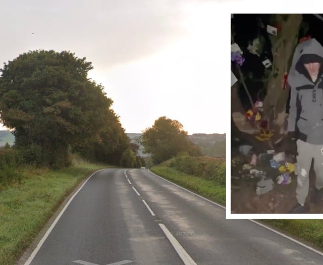 Teen trashed memorial to Meon Valley crash pair