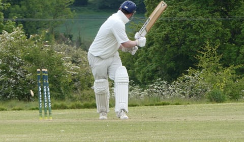 Waverley earn impressive win at Dummer