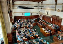 Reform UK councillors secure senior committee roles at Hampshire County Council