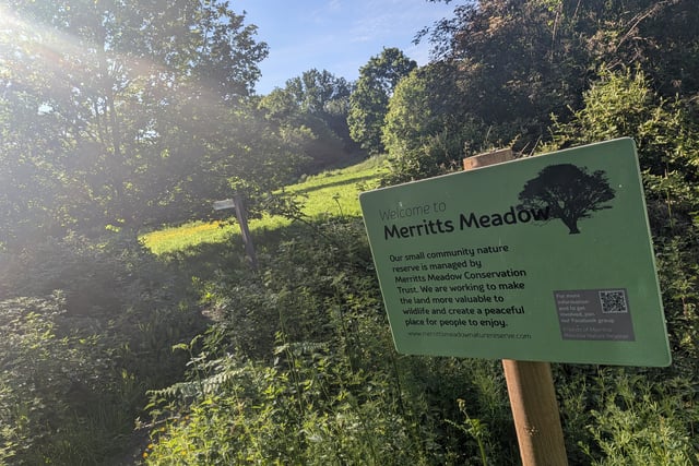Wild for it: Petersfield nature reserve to hold Nature Day