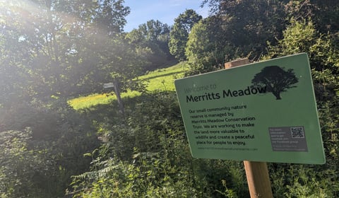 Wild for it: Petersfield nature reserve to hold Nature Day