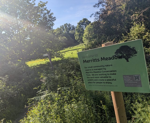 Wild for it: Petersfield nature reserve to hold Nature Day