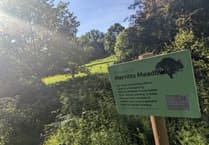 Wild for it: Petersfield nature reserve to hold Nature Day