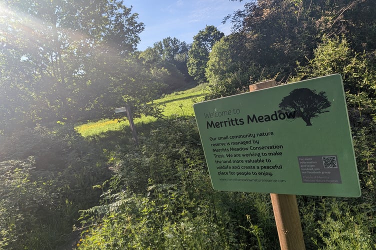 PP Merritts Meadow Nature Reserve Petersfield
