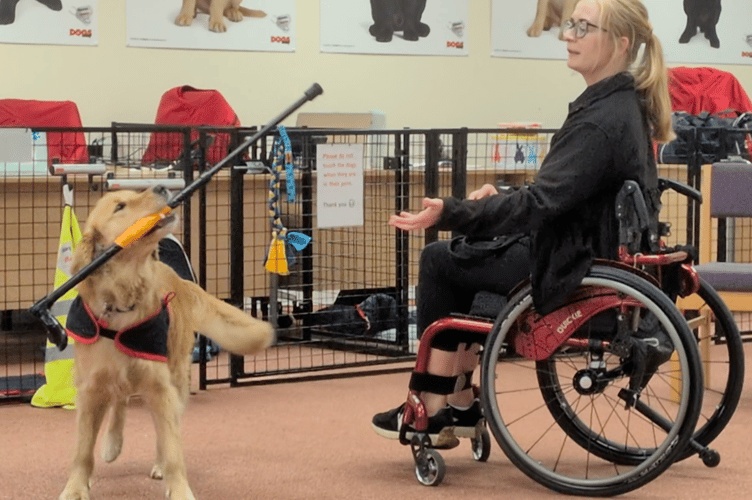 Lexi Tilly demonstration dog Hounds for Heroes