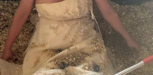 Gown and Dirty: Crondall woman trashes wedding dress for charity
