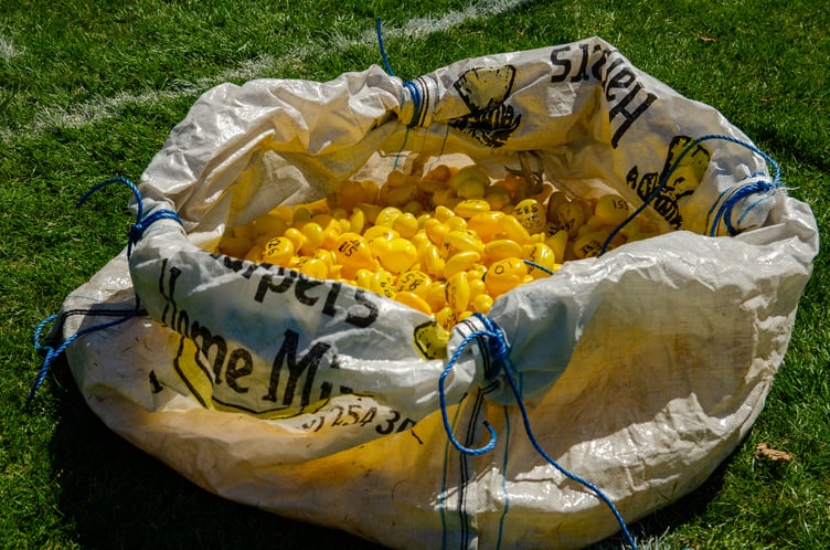 Due to the diesel spill in the river, the duck race looked rather different this year.