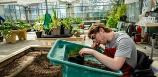 Coffee company charity supports Treloar's gardening project
