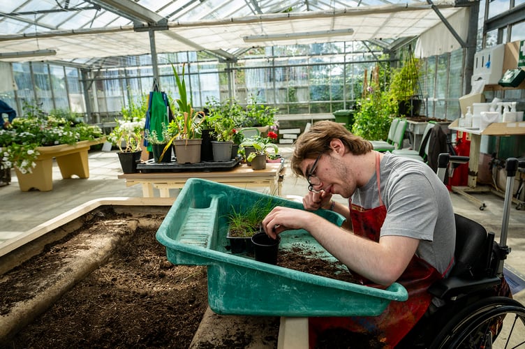 Planting Possibilities gardening project, Treloar's, Alton, June 1st 2026.