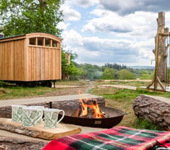 New off-grid woodland sauna opens near Farnham