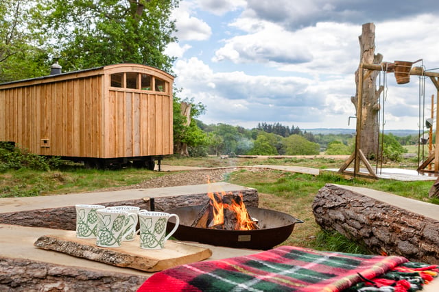 New off-grid woodland sauna opens near Farnham
