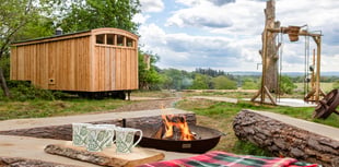 New off-grid woodland sauna opens near Farnham