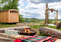 New off-grid woodland sauna opens near Farnham