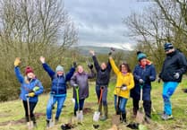 Nature boost for South Downs as ReNature festival returns