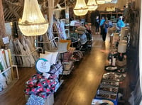 Luxury interiors sale raises thousands for hospice care