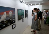 Paintings celebrate Birdworld's feathered stars