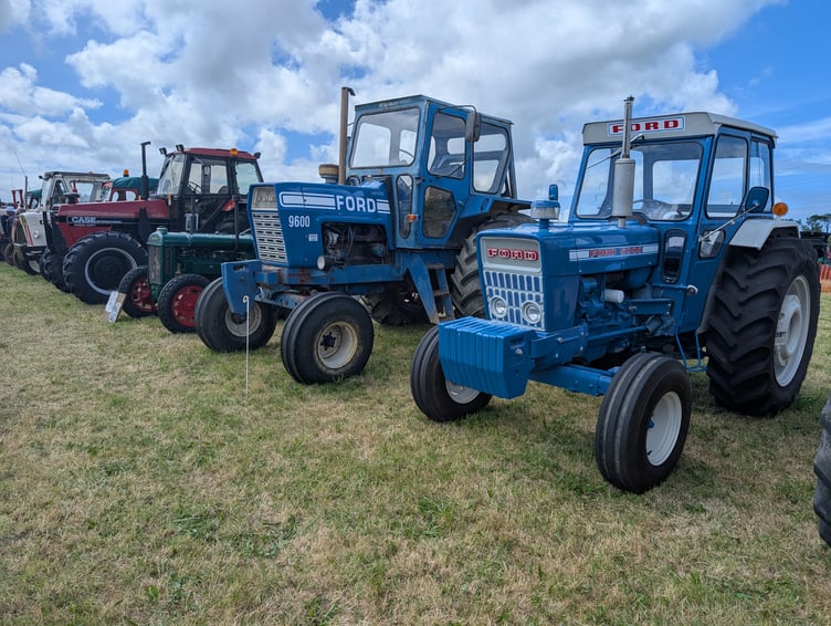 Some of the many vintage tractors on display at the Holsworthy Vintage Rally (Picture: White Ladder Creative)