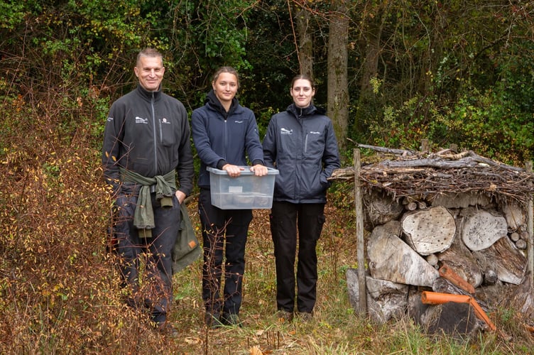 Ranger Paul Bushell, specialist consultant Izzy Radford and assistant ranger Niamh Lewis-Colby release glow worms on the South Downs National Park.