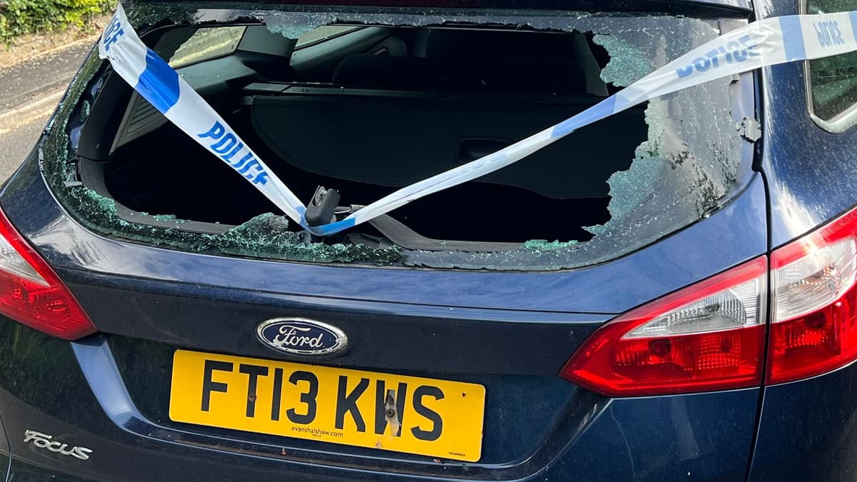 Dog walker despair continues as one of two vandalised cars remains