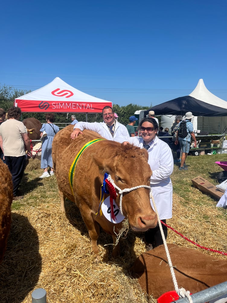Derek Jenkin and Jo Compton of Manaccan with their prize-winning three-year-old cow with calf, Landrivick Mimosa 6
