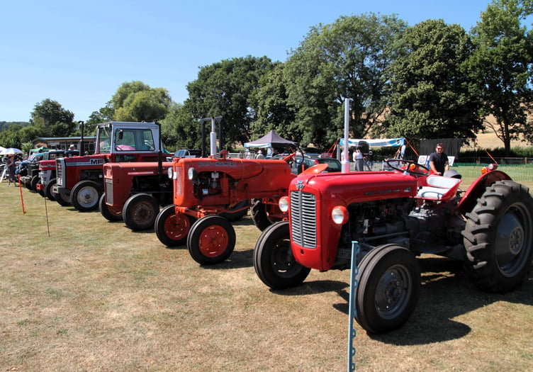 An impressive line-up of vintage tractors at Carhampton fete. PHOTO: George Ody.