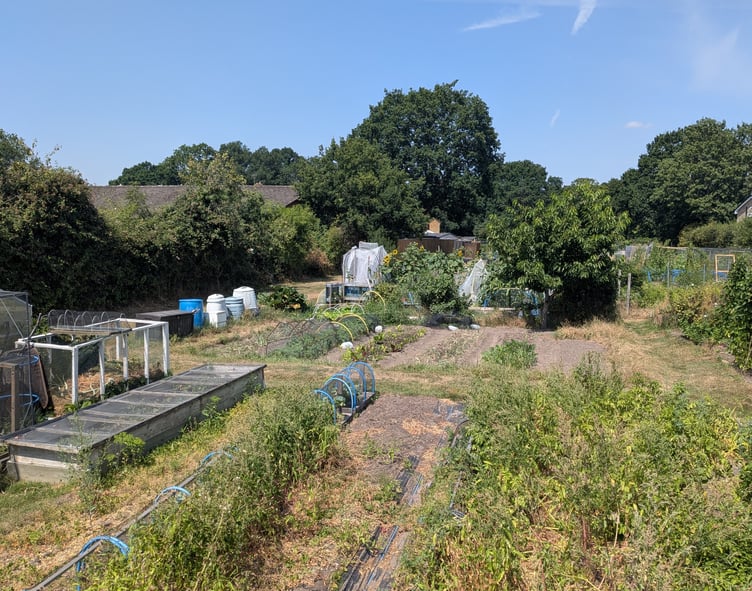 BH Mill Chase Allotments Bordon