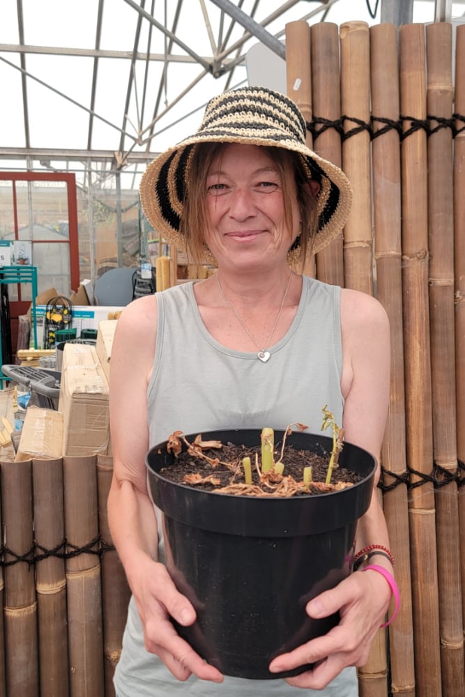 Kate Bookless’s pot yielded 725g of potatoes when it was emptied. Dad Peter’s came in at 811g.