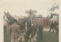 Peeps into the Past: When Alton's Shire horses were the pride of the town