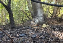 Firefighters tackle Caesar's Camp wildfire near Farnham