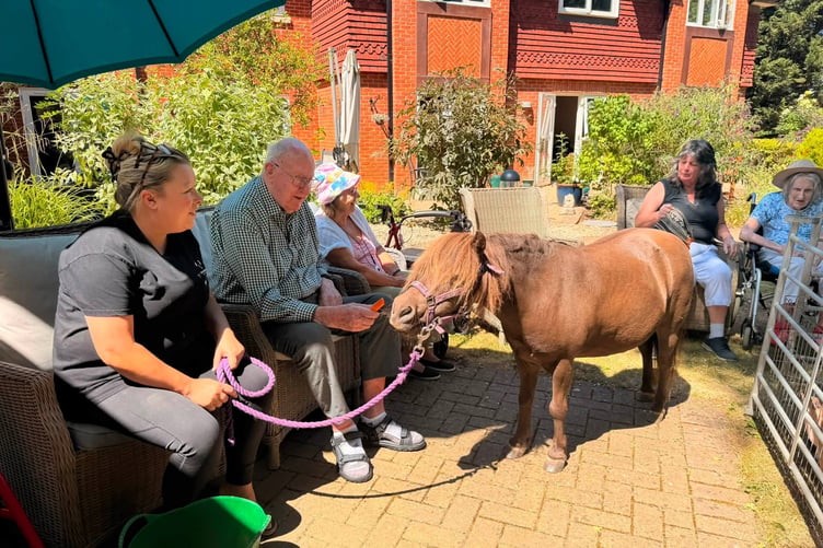 Residents from Waverley Grange Bupa Care Home enjoy a farm visit
