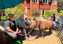 Farnham care home residents relive memories with farm animals visit
