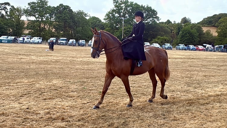Riding side saddle in the main horse ring.