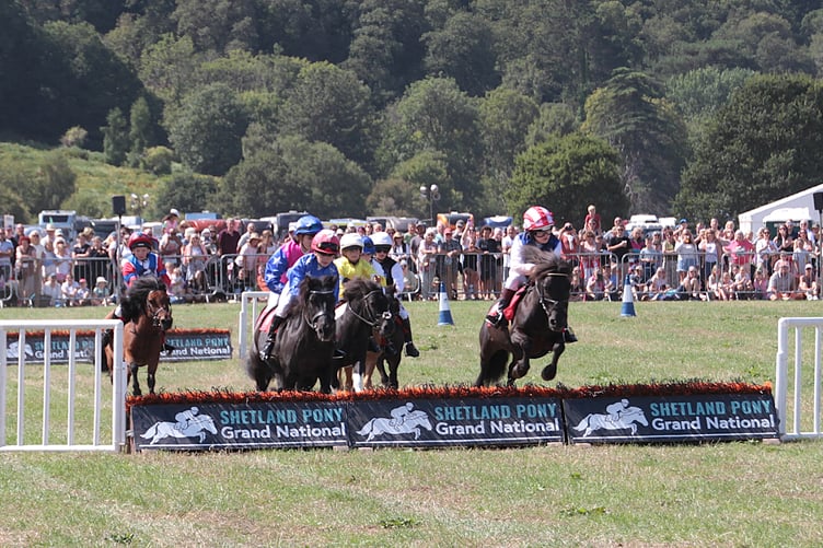 Young riders competing in the Shetland Pony Grand National at Dunster Show 2026. PHOTO: George Ody.