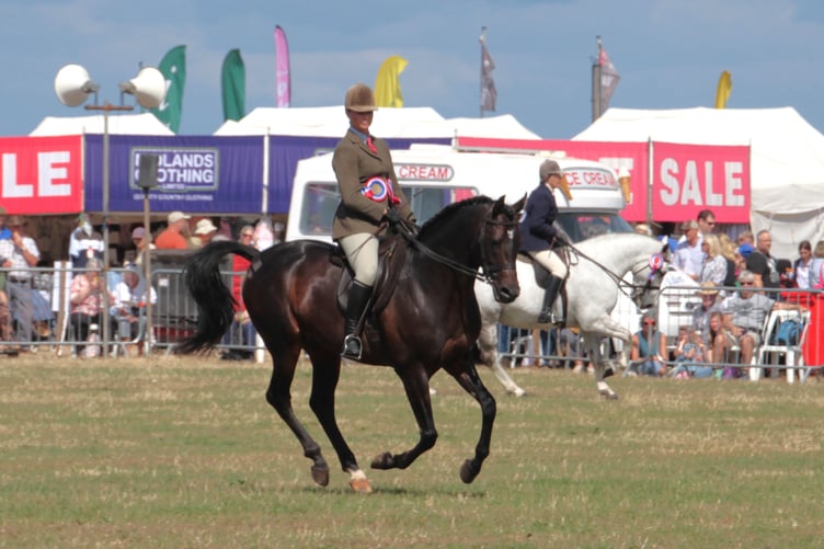 Nicola Bentley-Lovell puts Primitive Alpine through his paces at the 2026 Dunster Show. PHOTO: George Ody.