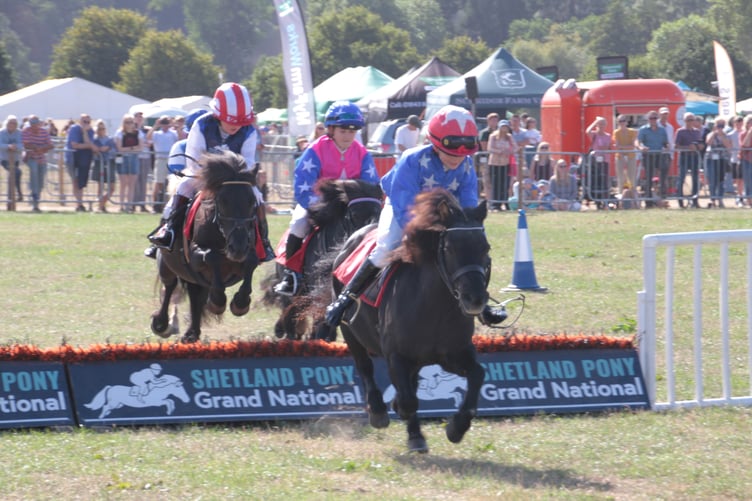 Ava Thomas on Cranford Fantastic on her way to winning the Shetland Pony Grand National number one race. PHOTO: George Ody.
