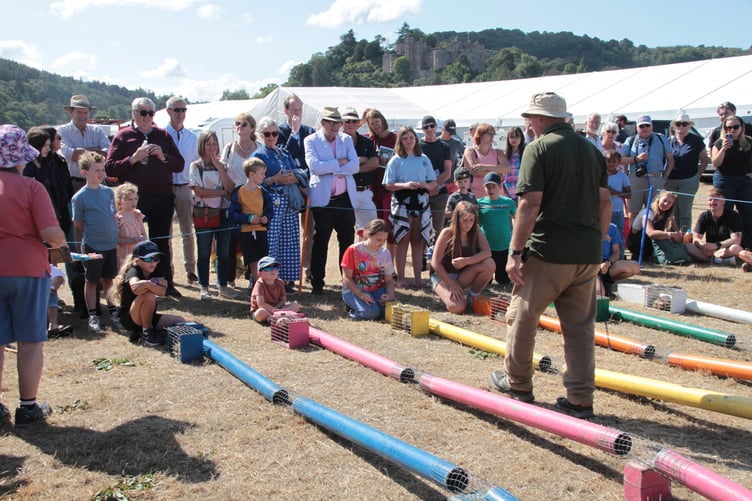 Ferret racing organised by Terry Moules at this year's Dunster Show. PHOTO: George Ody.