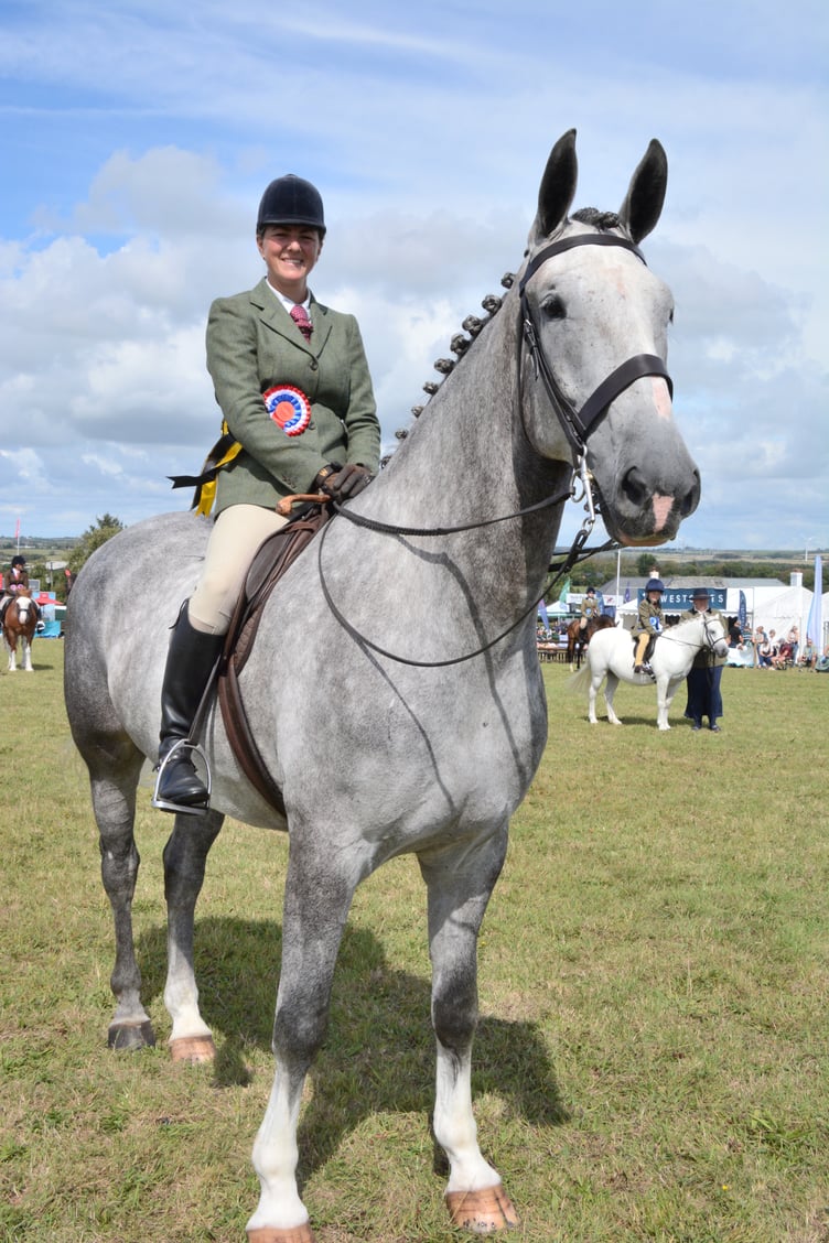 A perfectly turned out horse was among the winners at the Holsworthy and Stratton Show (Picture: Rodney Parrish)