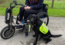 Dog star: Award celebrates the life of Surrey assistance dog Rowley