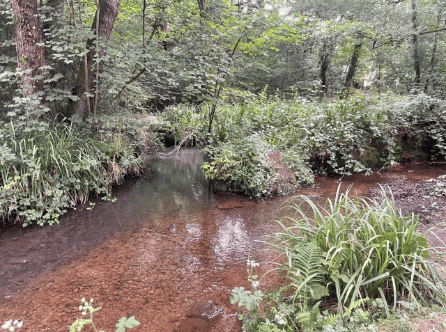 Discoloured water on the River Wey in Haslemere following a suspected pollution incident. Picture: River Wey Trust